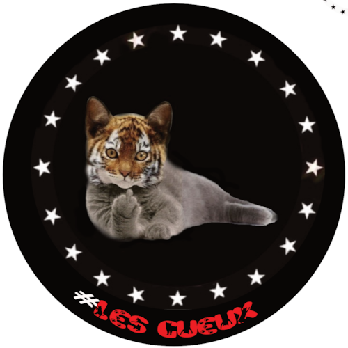 Visit 0ctoPussyRayee's profile on GETTR. View their posts, photos, videos, and connect with them on the social platform.