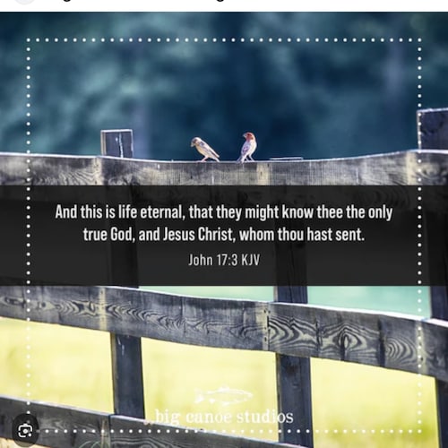 Lover of God family and my country..And of course my dog !! Let's go MAGA  God Bless Trump !