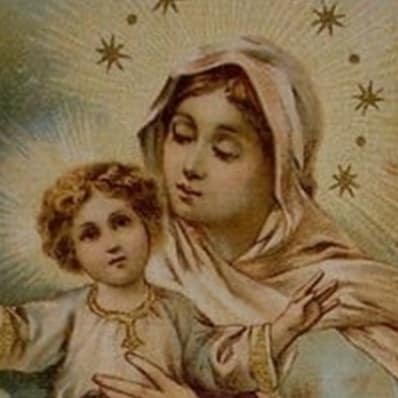 Traditional Catholic, "Covid" widow, autodidact.