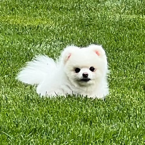 Visit QG's profile on GETTR. View their posts, photos, videos, and connect with them on the social platform.