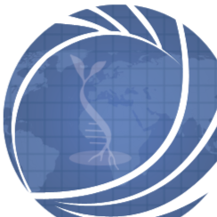 Jack Jenson is the founder of The Web Science, a professional platform focused on web strategy, innovation, and digital ...