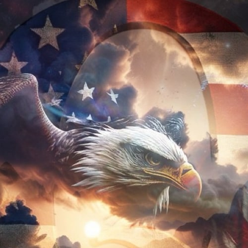 "Freedom is never more, then one generation away from extinction" Ronald Reagan.“American by blood, conservative by choi...