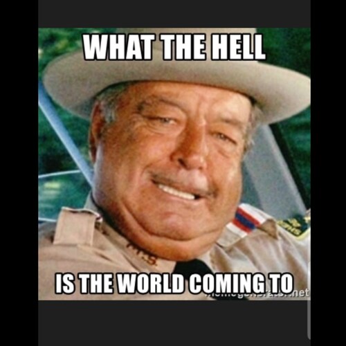 ⚘🇺🇸 USA 🇺🇸 Sweet Land of Liberty
ASPIRE to INSPIRE before you EXPIRE
 GOD Bless you CHARLIE KIRK