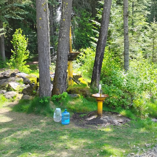 Anti VACCER,pure blood,..1st,2nd Amendment absolutist! Abolish DAMNOCRAT domestic terrorists! Party of Satan,..bankrupt ...