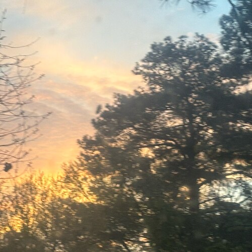 🇺🇸🙏 Pray for the USA 🙏  
🇺🇸Trump Won Again! 🇺🇸
100% MAGA American