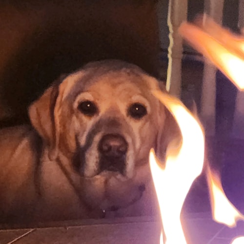 Patriotic Conservative Married Man. I`m a common sense realist.
(All that are looking for sex or to sell something, move...