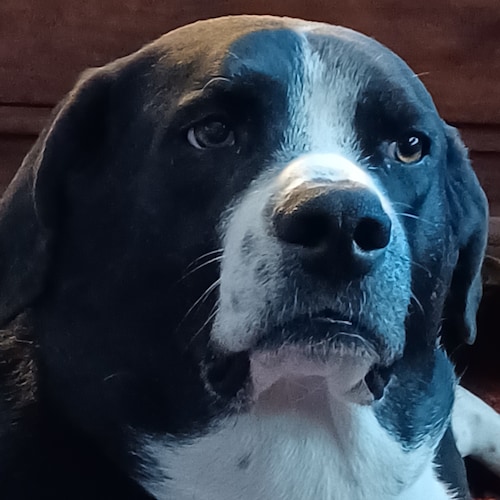 Love GOD 🙏🛐✝️
Love my Family
Love the USA🇺🇸
Sharing my own opinion, what's shared on the news, what others choose to...