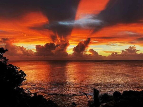 May you Have Celebration in your Monday!
 - sunrise over Niue beach (c. Explore Niue)

#photography ...