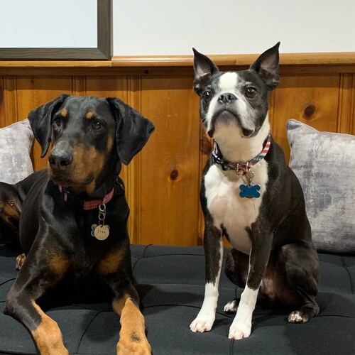 Just another Patriot!