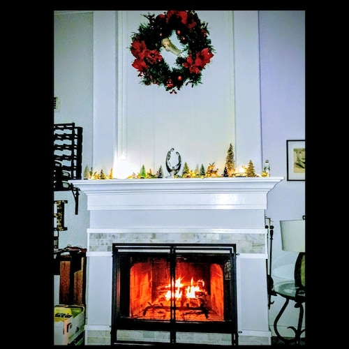 GOD, Wife, Ringo, Dani, 

WE NEED ARRESTS NOT INDICTMENTS