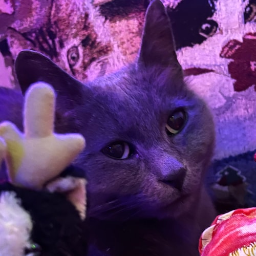 FL-born, blue dog Dem, turned Independent, turned Republican. As my husband says, I finally came to my senses.  Crazy Ca...