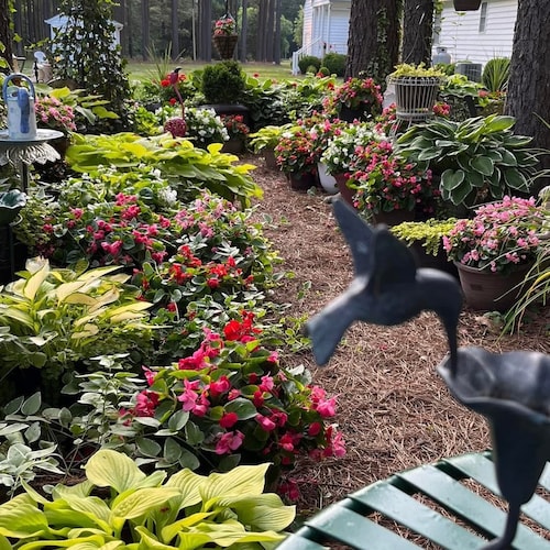 Until we get the 2020 election overturned, we are living in a Banana Republic.Trump is my president! Biden was cheated i...