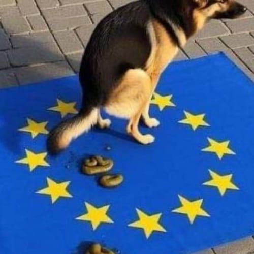 Visit EVynckier's profile on GETTR. View their posts, photos, videos, and connect with them on the social platform.