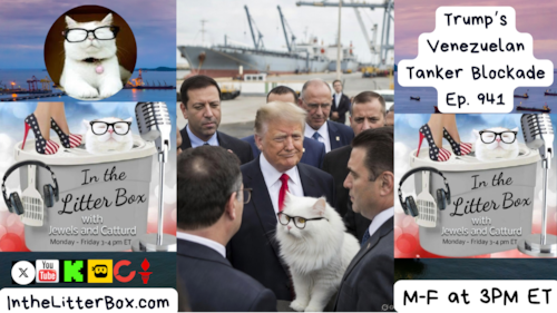 Trump’s Venezuelan Tanker Blockade | In the Litter Box w/ Jewels & Catturd – Ep. 941 – 12/18/2025