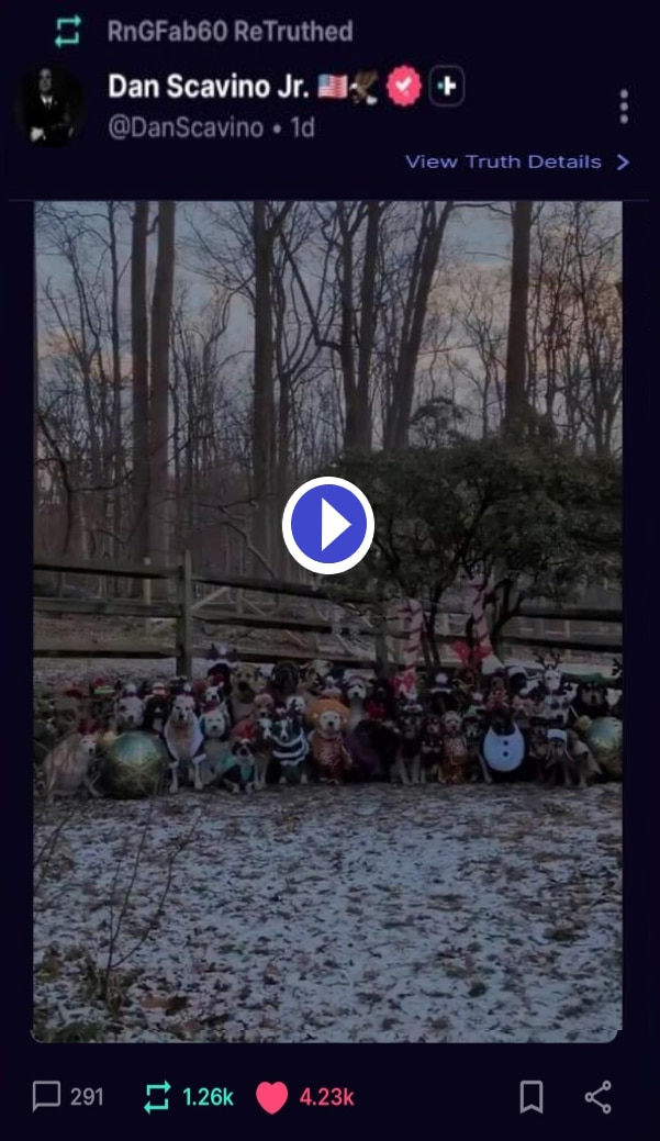 https://truthsocial.com/@DanScavino/115781560858457564
