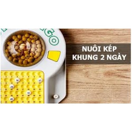 Nuôi lô kép khung 2 ngày 247 chuẩn xác

Nuôi lô kép khung 2 ngày là bài viết trên Rồng Bạch Kim 100 ...