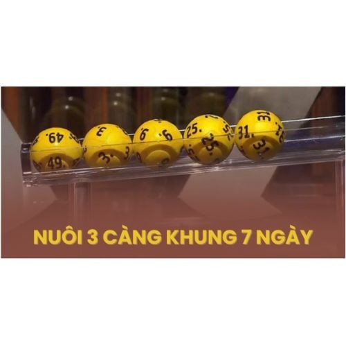 Nuôi 3 càng khung 7 ngày – Dàn đề 3 càng nuôi tuần bất bại miễn phí

Nuôi 3 càng khung 7 ngày là bài...