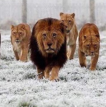 Proud American Mexican who loves God, Family and the USA!
I am one who is not intimidated by anyone, except GOD!