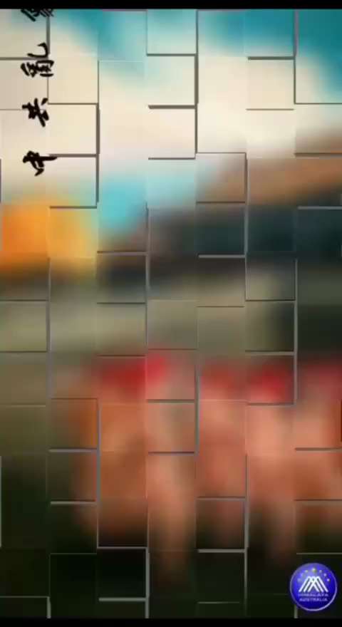 編號：3️⃣9️⃣6️⃣
【中共乱象】在上海外滩。
美团外卖小哥手拿台湾国旗说到：
我们不要再做韭菜人矿了，民主台湾才是华人的未来，我只是说实话。
随即被中共党警带走。
🔗himalayaustra...