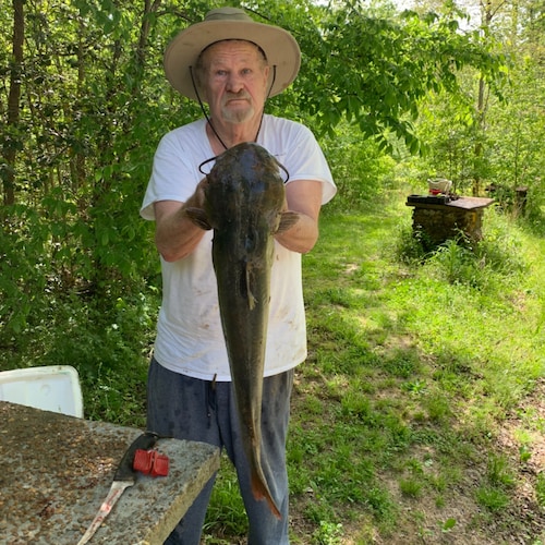 Visit horton's profile on GETTR. View their posts, photos, videos, and connect with them on the social platform.