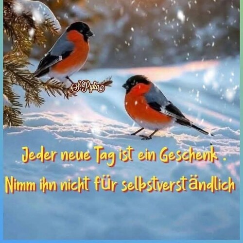 Visit Tjm72's profile on GETTR. View their posts, photos, videos, and connect with them on the social platform.