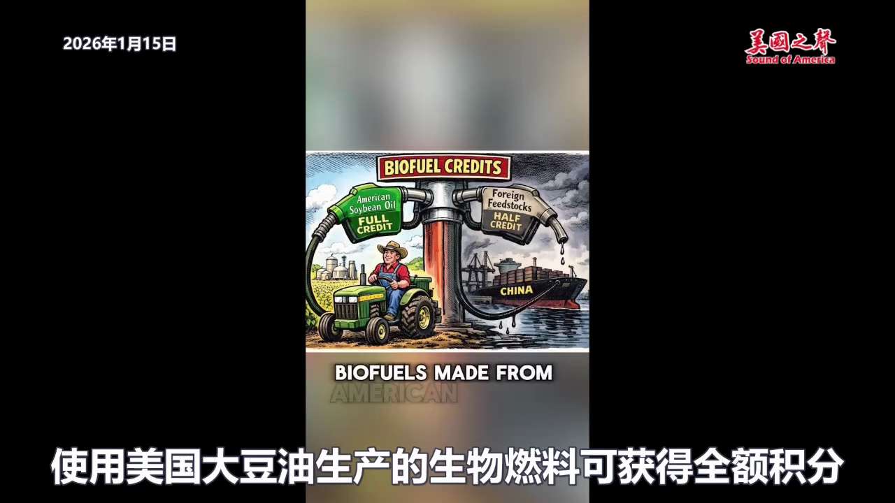 【美国之声--中共国再不能用大豆做武器了】2026年1月15日美国总统顾问纳瓦罗（Peter Navarro）:

中共国再也不能用大豆做武器，来威胁美国农民，进而左右美国的贸易政策了。 美国是怎么做...