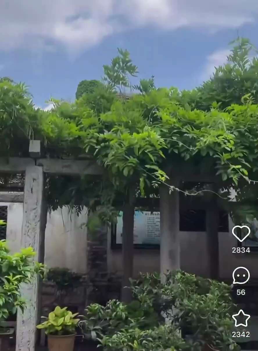 中国社会所谓的高手是没有情绪的。

他们知道趋利避害，他们知道明哲保身，他们知道通权达变。

他们把欲望当理想，他们把世故当成熟，他们把麻木当深沉，他们把怯懦当稳健，他们把油滑当智慧。

他们把勇敢视...