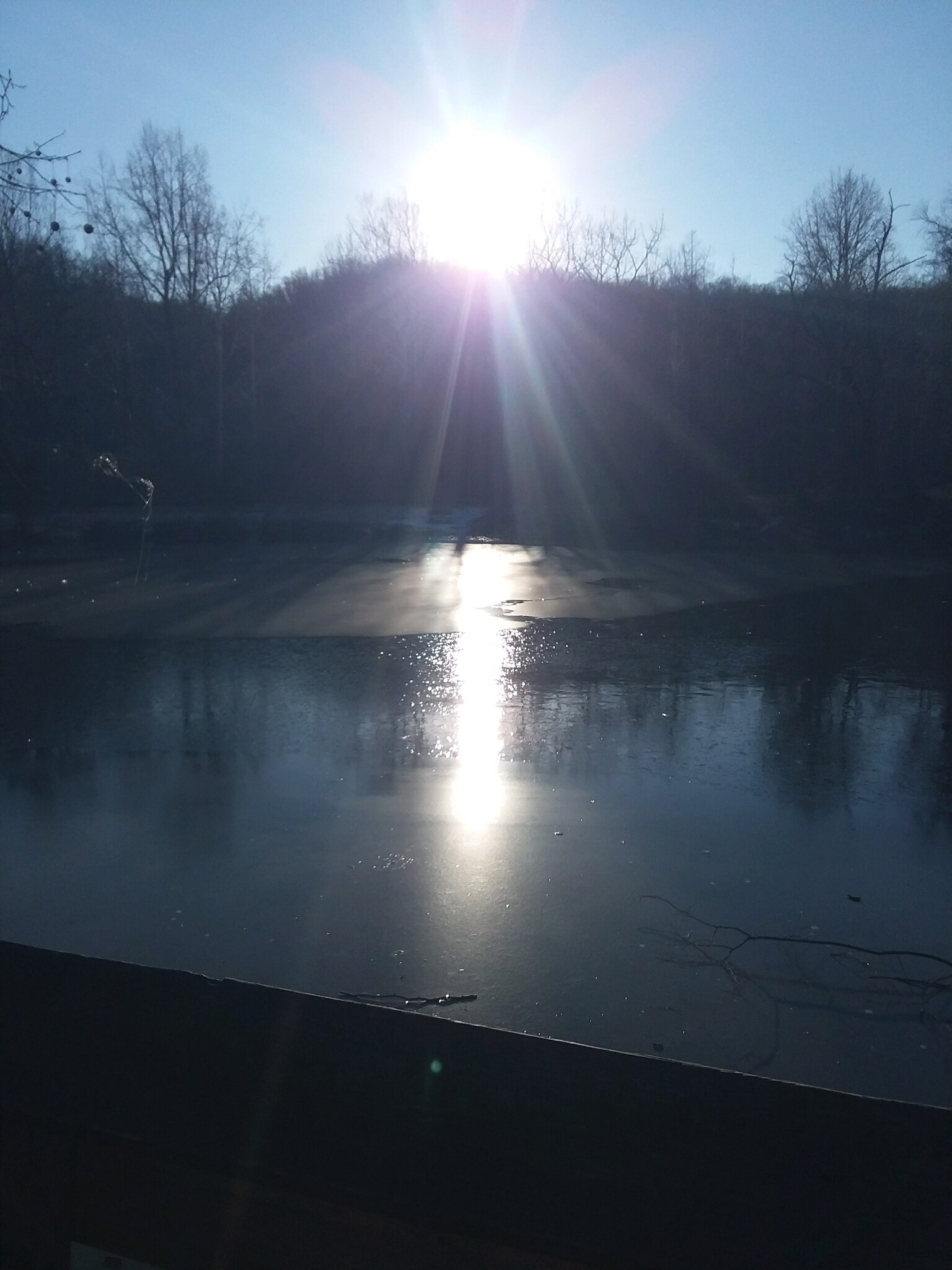 #nature #trees #pond #water #sun #peaceful #park #spiritual #photo 