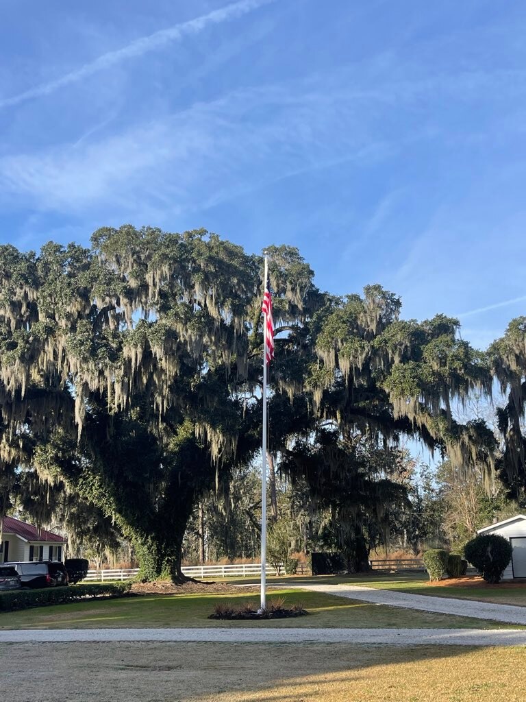 查看 Dora 在 GETTR 上的帖子。加入讨论，分享您的想法，与社区联系。