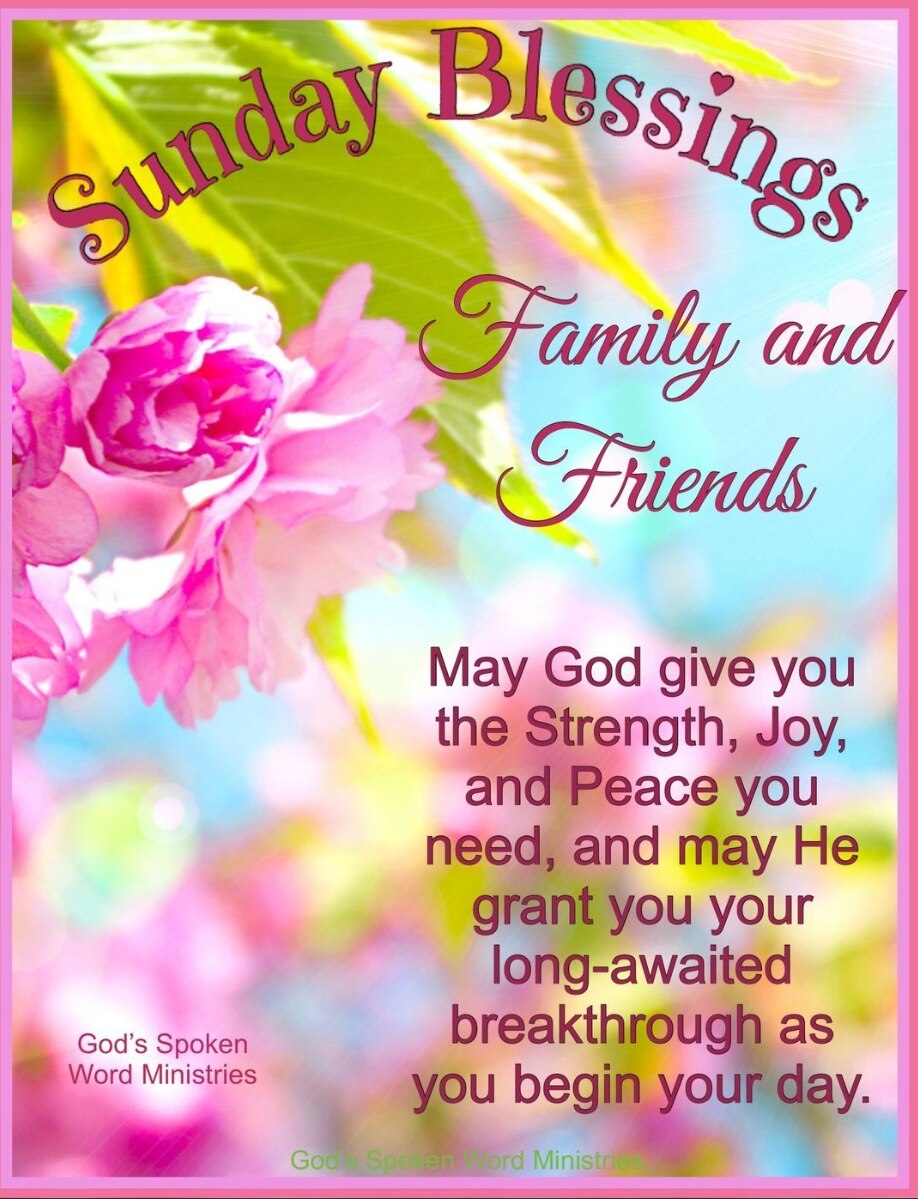 查看 MCD 在 GETTR 上的帖子。加入讨论，分享您的想法，与社区联系。