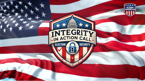 ELECTION INTEGRITY CALL HOSTED BY STEVE STERN - WED, FEBRUARY 4 @ 2PM EST
