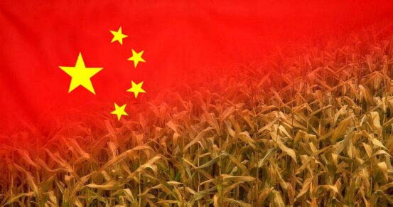 川普政府就中共收购美国农地采取行动

2月12日（秘密翻译组）——今天，美国国会众议院“中共特别委员会”主席约翰·穆勒纳尔（John Moolenaar）就农业部长布鲁克·罗林斯（Brooke Rol...