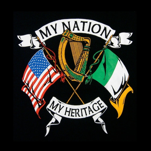 "Carry on till they Carry you out "
American Made Irish blood 🇺🇸🍀
Troidfimid ar son Éire Shaor🇮🇪