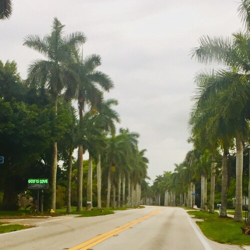 💜Mom💙
    Freedom Loving❤️ 
 ✝️ God fearing 🇺🇸 Patriot 🇺🇸