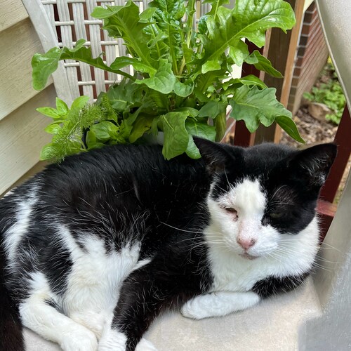 FL-born, blue dog Dem, turned Independent, turned Republican. As my husband says, I finally came to my senses.  Crazy Ca...