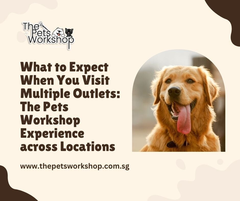 What to Expect When You Visit Multiple Outlets: The Pets Workshop Experience across Locations-The Pe...