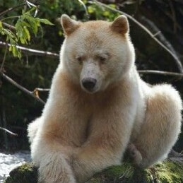 Soyez forts, soyez courageux,
soyez solidaires en communauté, et surtout unissez-vous dans la résistance 🇫🇷