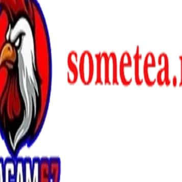 Gà Cam 67 tại SOMETEA.NL cập nhật đá gà trực tiếp Thomo hôm nay. Xem video đá gà Campuchia mới nhất, phát lại nhanh, trậ...