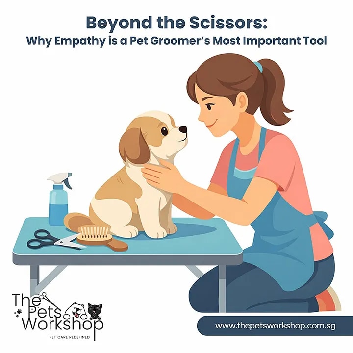 Beyond the Scissors: Why Empathy is a Pet Groomer’s Most Important Tool — The Pets Workshop


Pet gr...