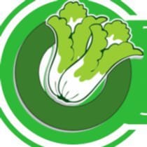 Cửa hàng thực phẩm hữu cơ Nasafarm chuyên rau củ quả hữu cơ Đà Lạt
