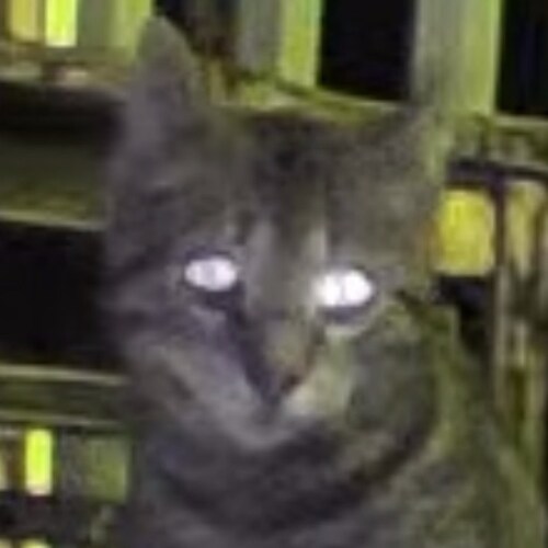 Interesting times. It has been a lot of work and here we are !