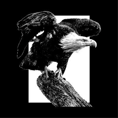 American Journal LIVE weekdays, 8-11AM CST on the Alex Jones Network