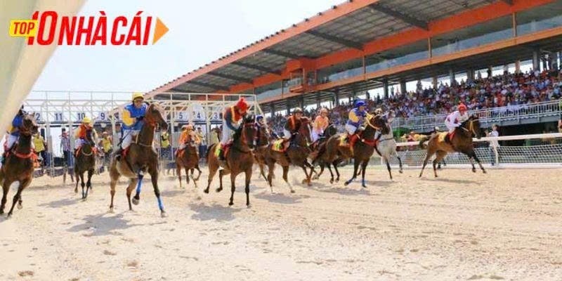 Mẹo cá cược đua ngựa – Bí mật nhà cái không muốn bạn biết



Mẹo cá cược đua ngựa không phải là mấy ...