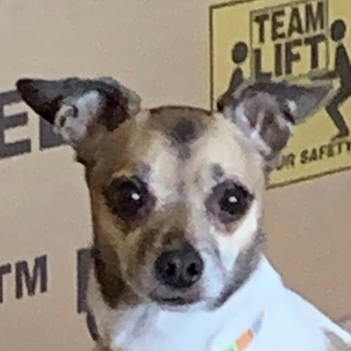 Keep America Great!
ENOUGH OF ALL THIS DEMOCRACY TALK! WE ARE A CONSTITUTIONAL REPUBLIC ! Citizen journalist! RAV/GETTR ...