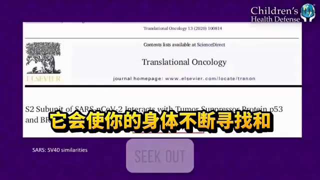 这就是为什么这么多孩子被诊断出患有四期癌症的原因。

凯文·麦克纳恩博士对辉瑞疫苗的进一步测试表明——
疫苗中确实含有SV40病毒
但更令人惊讶的是⋯⋯

儿童配方疫苗中的SV40浓度是普通配方的两倍...