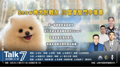Talk 7 第187期
主題：Snow神犬別戰友 川習會智鬥中落幕
主持： 海闊天空
嘉賓：黑嫂子 至尊寶 澄道來了
海報：快思慢想
導播：一苇大江東
播出：周日 美東時間 早上7:30-8:30
