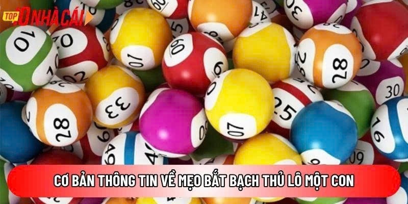 Mẹo bắt bạch thủ lô một con – Công thức soi cầu cực hay



Mẹo bắt bạch thủ lô một con đang được nhi...