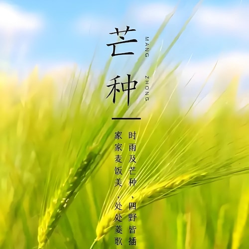 We Are the Citizens of the New Federal State of China

Our Mission is to Take Down the EVIL Chinese Communist Party
