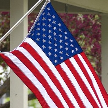 BitterClinger🇺🇸 Dixie Deplorable🍑🥜UGA alum🐶AG🚜
If you’re an American Stand Up🇺🇸My opinions only