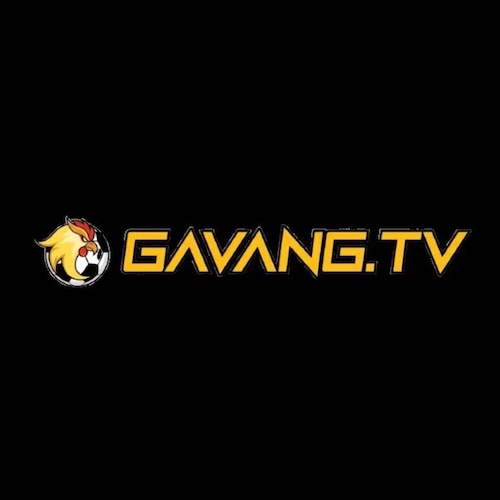 Gavang giải quyết triệt để tình trạng giật lag hay gián đoạn đường truyền trong các khung giờ cao điểm có hàng triệu lượ...